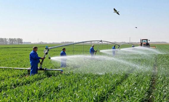 碧水润田垄 春光兆丰年——各地春灌一线扫描