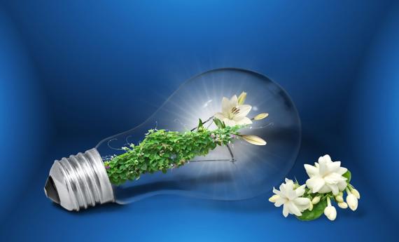 “双碳”引领增强绿色发展动能