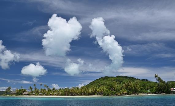 6万元当岛主！男子招募12人共建武汉梁子岛民宿，上千人咨询，已有人签合同