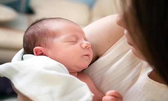 2026年母亲节是几月几号？日期、由来、习俗与全球庆祝方式全攻略