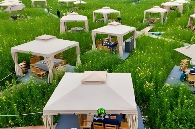 四川崇州：花田火锅，解锁“美食+美景”新体验