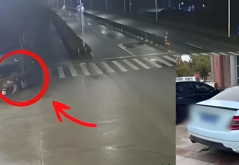 开着豪车偷早餐车?上海3人凌晨撬盗,警方火速破案,网友:这下吃上“免费饭”了